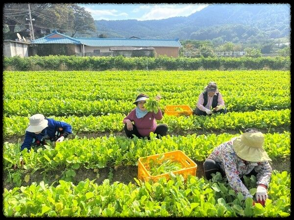 📢 2025년 직불금 교육 신청 필수 가이드! 꼭 받아야 할까? 신청 방법과 마감 기한 총정리