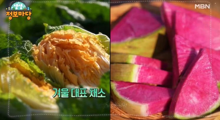 선영밥상 황금배추 수박무 파는 곳 전국 택배 주문 추천