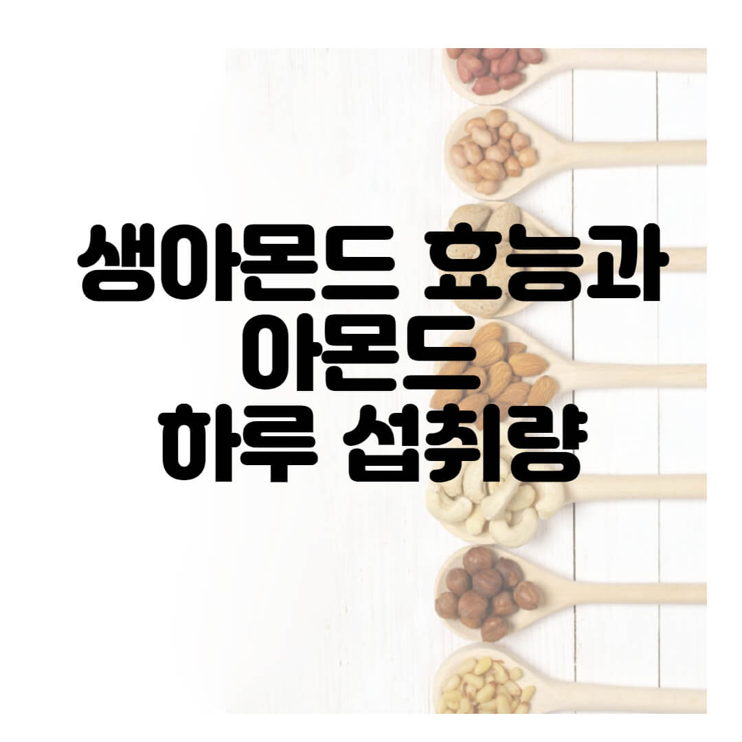생아몬드 효능과 아몬드 하루 섭취량