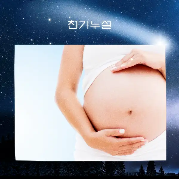 임신하는 꿈 해몽