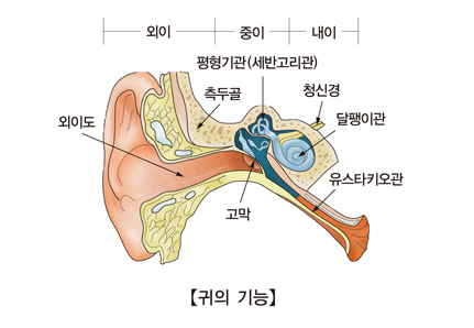 이석증의 원인