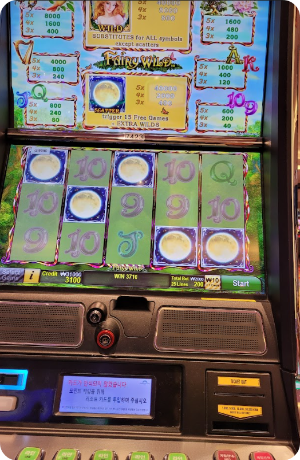 Fairy Wild - 강원랜드 슬롯머신