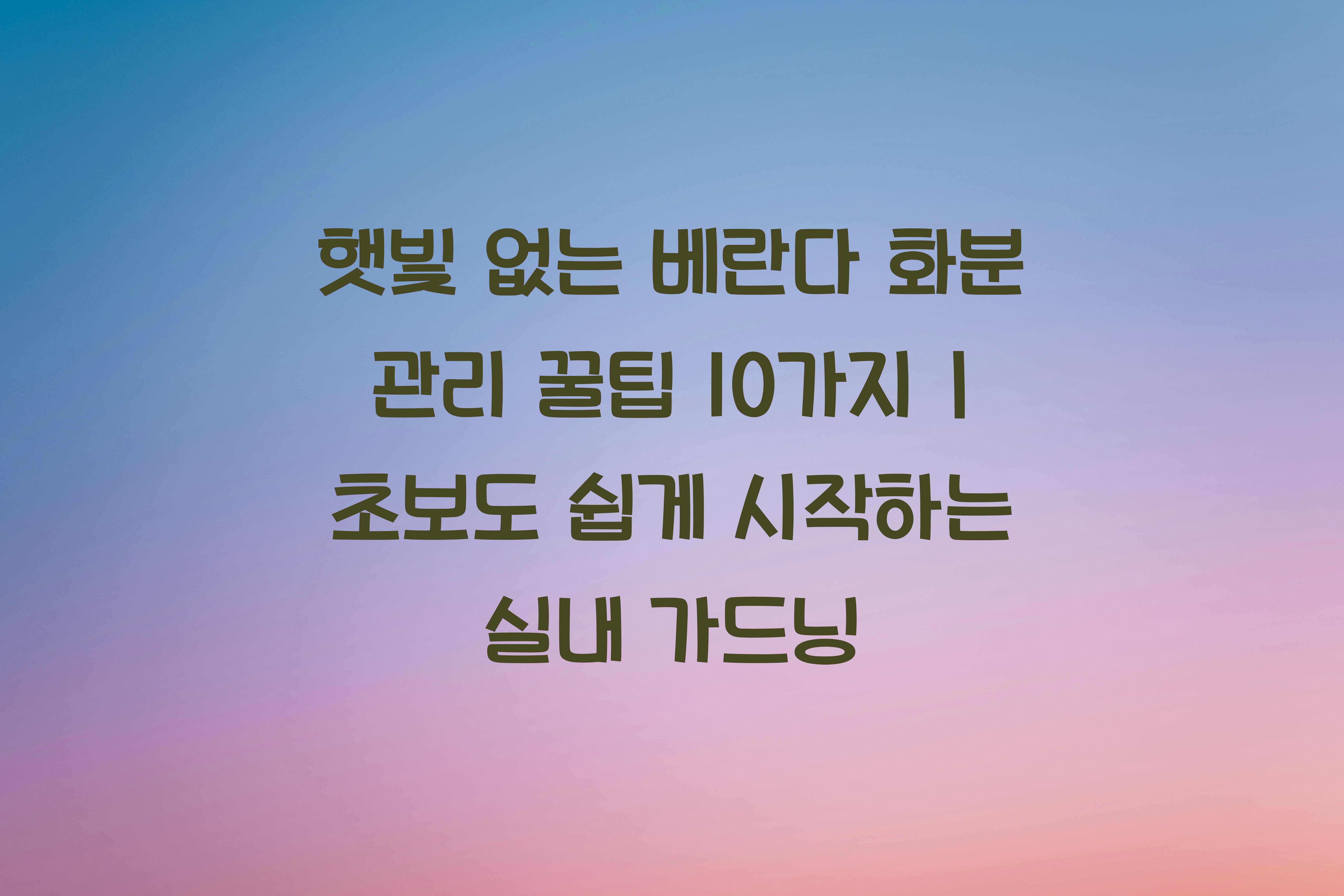 햇빛 없는 베란다 화분 관리 꿀팁