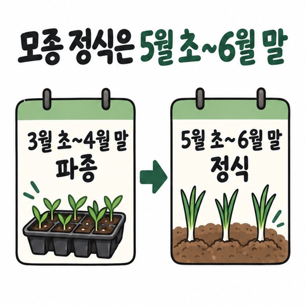 3월 초부터 4월 말은 파종, 5월 초부터 6월 말은 모종 정식 시기임을 달력으로 보여주는 카드