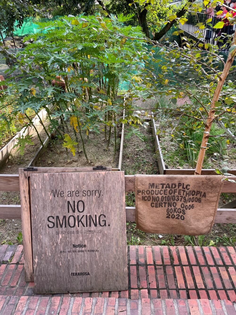 강릉-테라로사-커피공장-본점-전체-금연-구역-지정