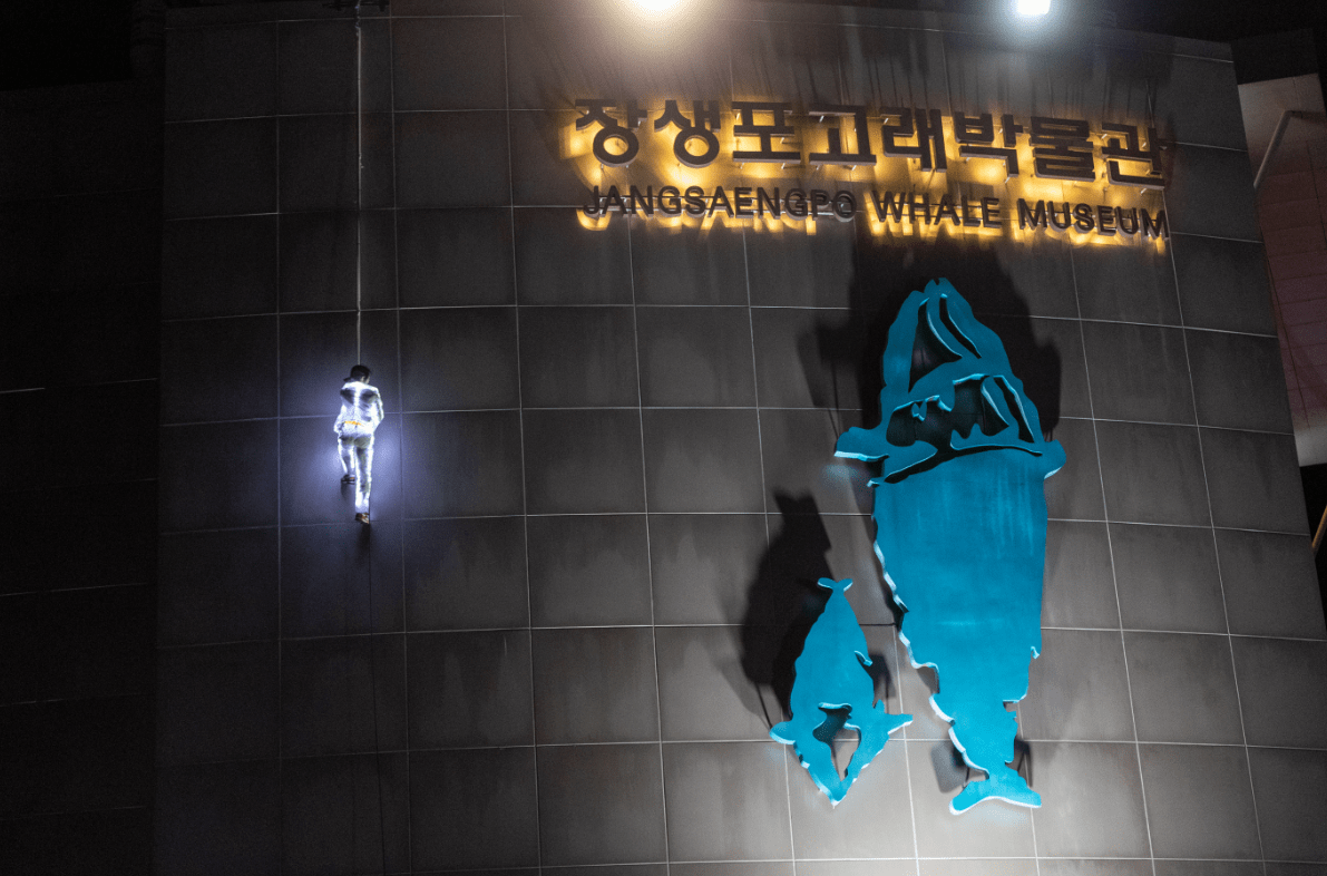 2023울산고래축제