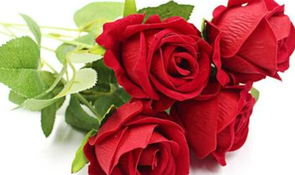 축하를 전할 때 어울리는 꽃 선물