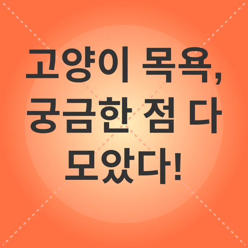 고양이 목욕_4