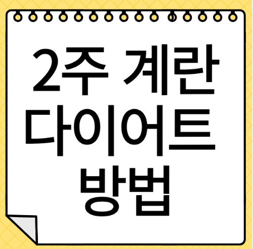 2주 계란 다이어트 방법