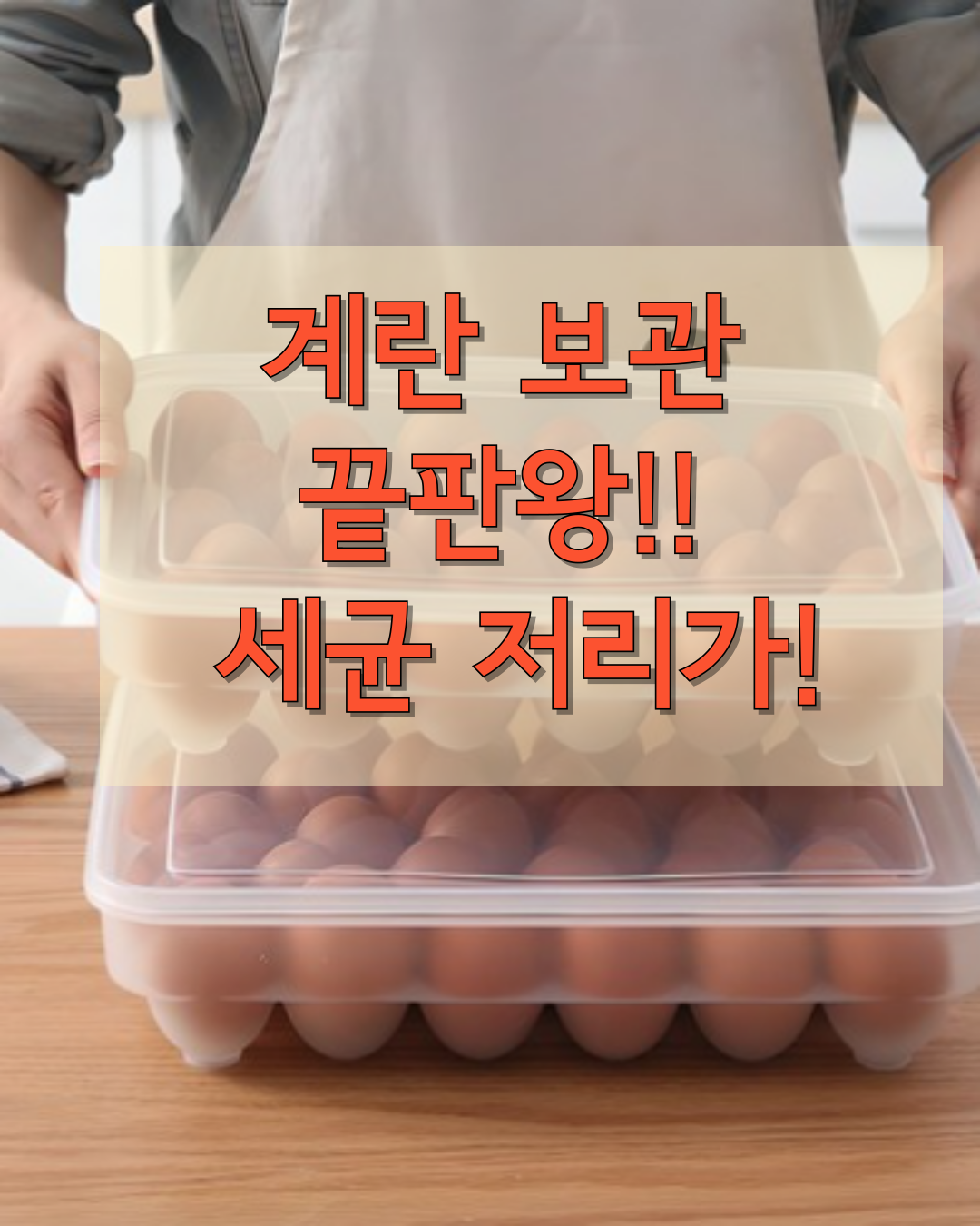 뚜껑있는 계란 보관함 20구 30구