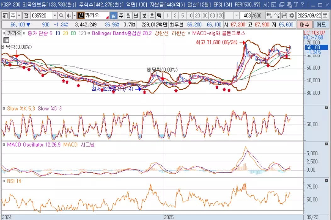 카카오-차트분석