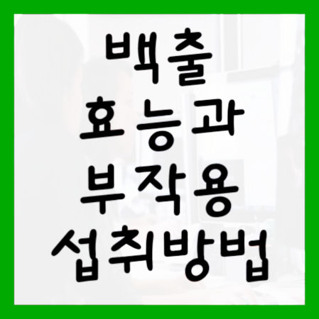 백출-효능-및-부작용-대표사진