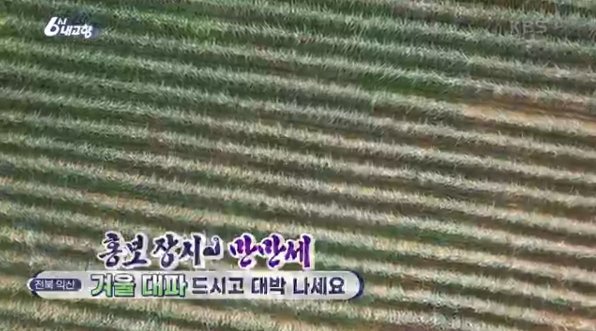 6시내고향 k맛집