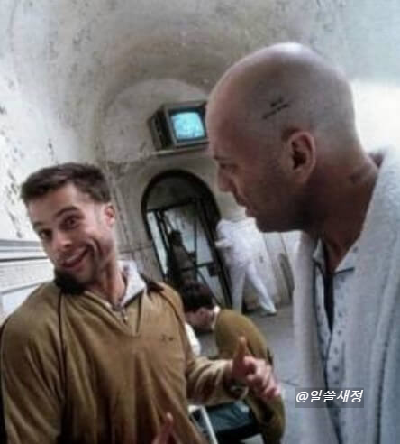 정신병원 브래드피트1