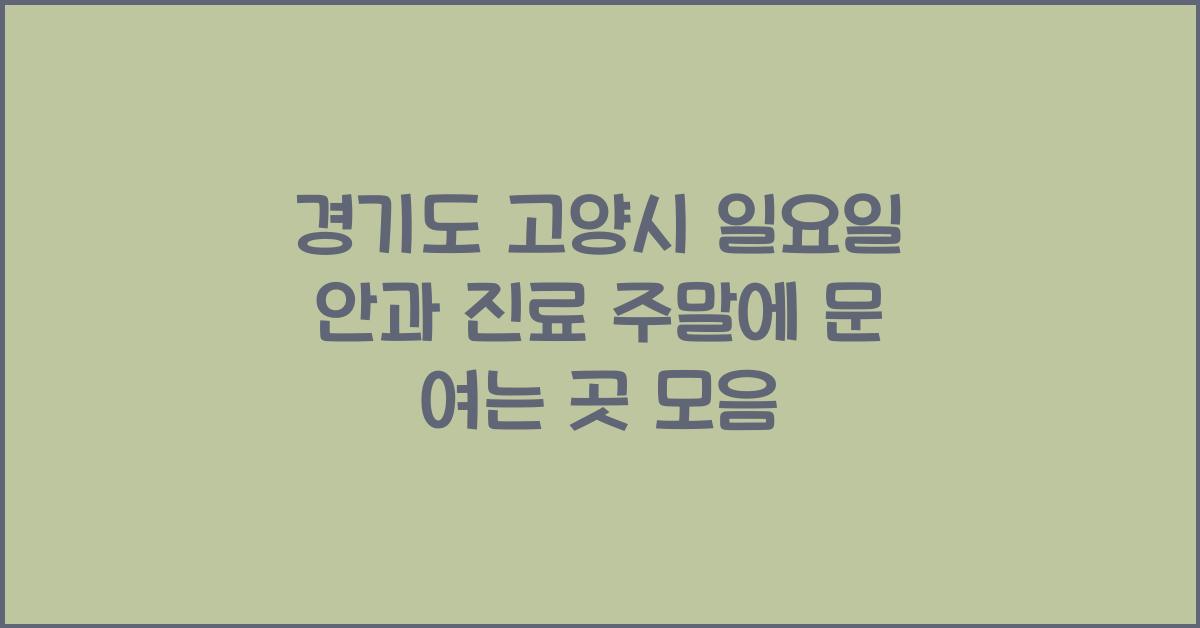 경기도 고양시 일요일 안과 진료 주말에 문 여는 곳 찾기