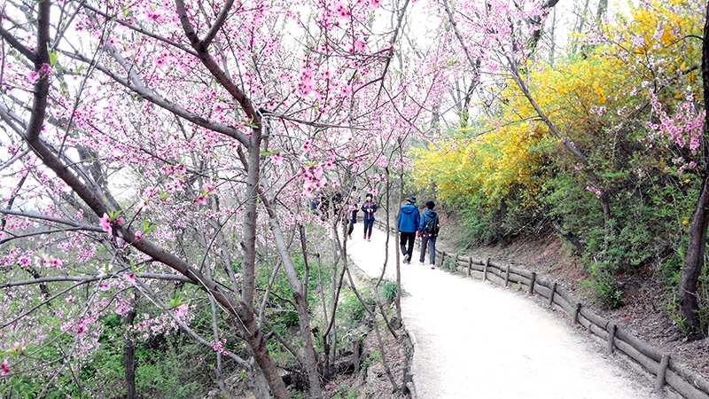 안산자락길(Ansan Jarakgil)