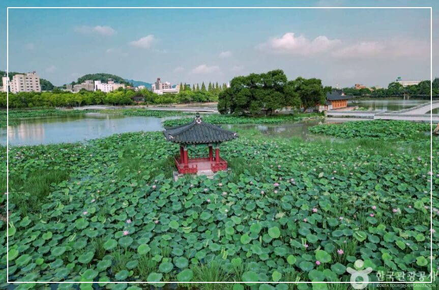 전주 가볼만한곳 베스트10 덕진공원