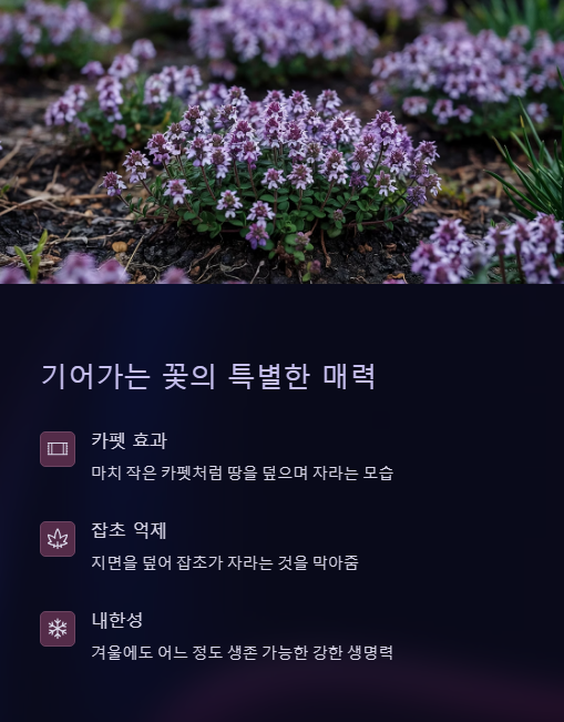 기어가는 꽃의 특별한 매력