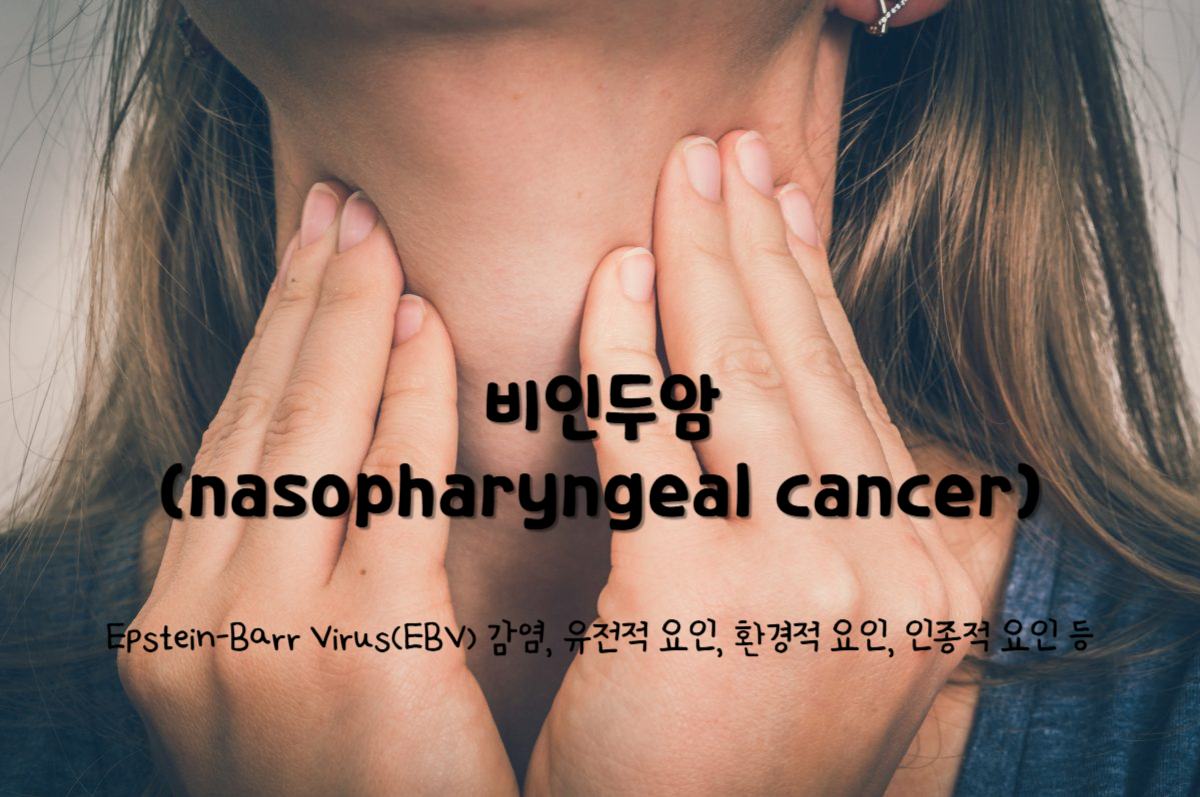 비인두암(nasopharyngeal cancer)
비인두암 주요 원인 : Epstein-Barr Virus(EBV) 감염, 유전적 요인, 환경적 요인, 인종적 요인 등