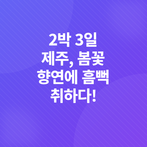 제주도 렌트카 여행_3