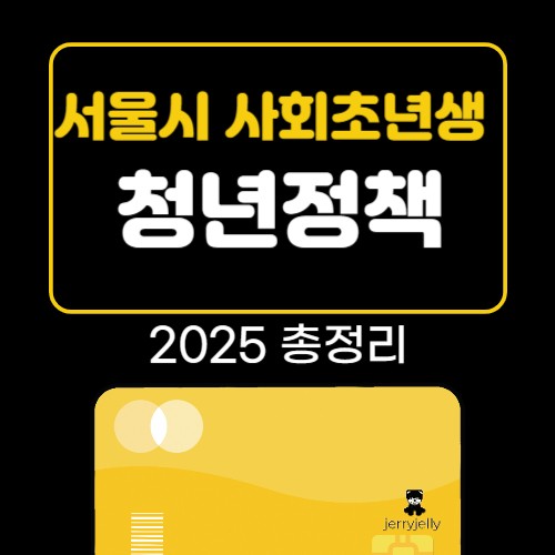 서울시 사회초년생 -청년정책 변경내역 -확인(by.제리쩰리)