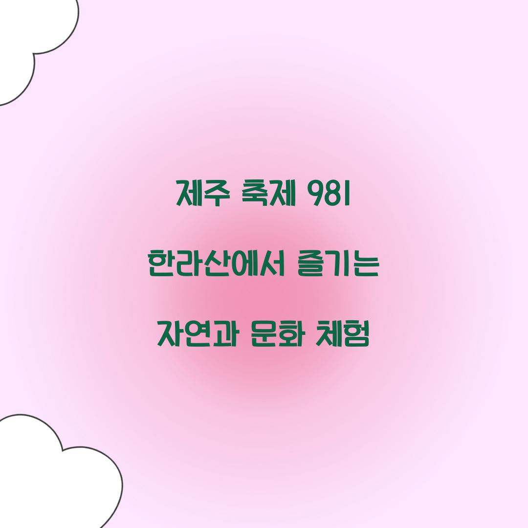 제주 축제 981 한라산