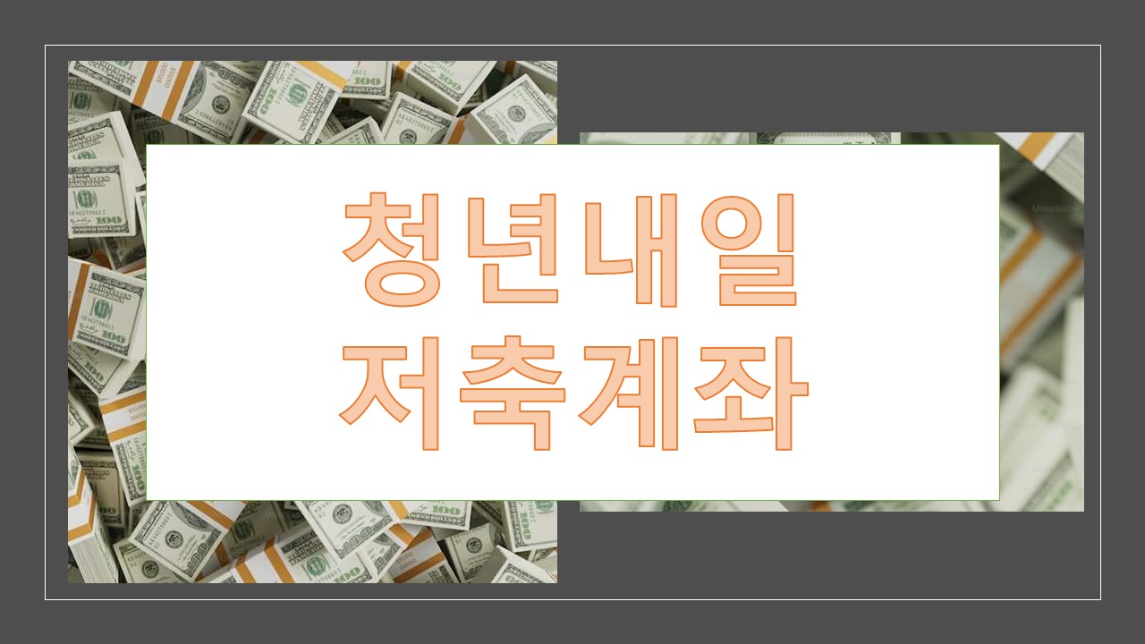 청년내일저축계좌 청년도약계좌 비교분석