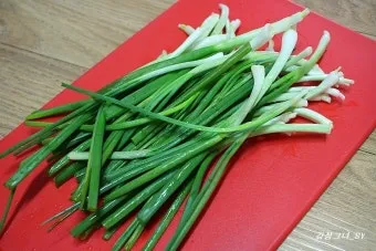 텃밭 부추 쪽파 재배 다년생 관리 수확주기 웃거름 월동_19