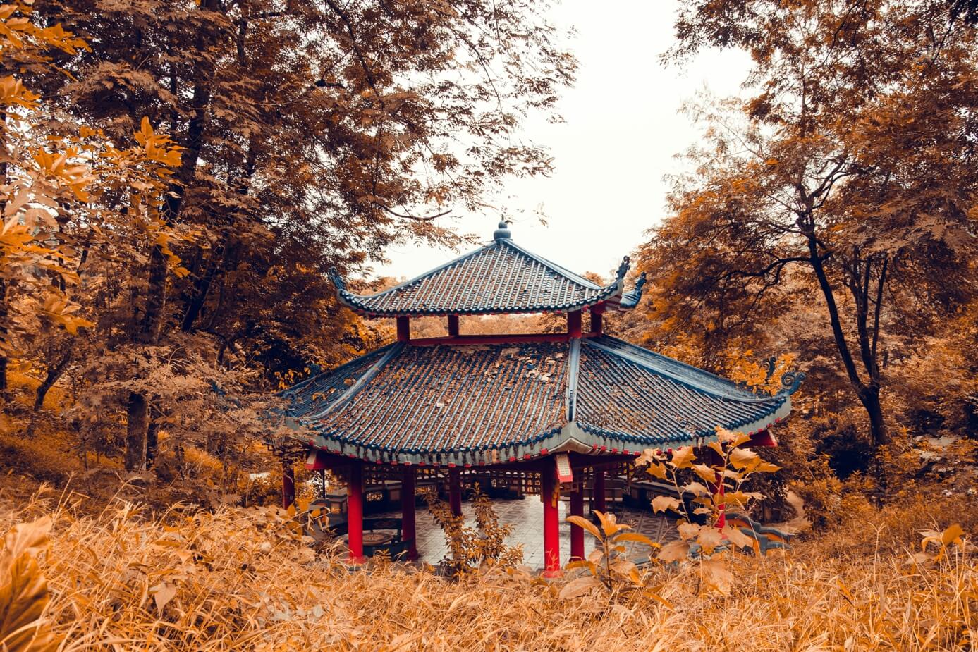 가을 속 경주 사진