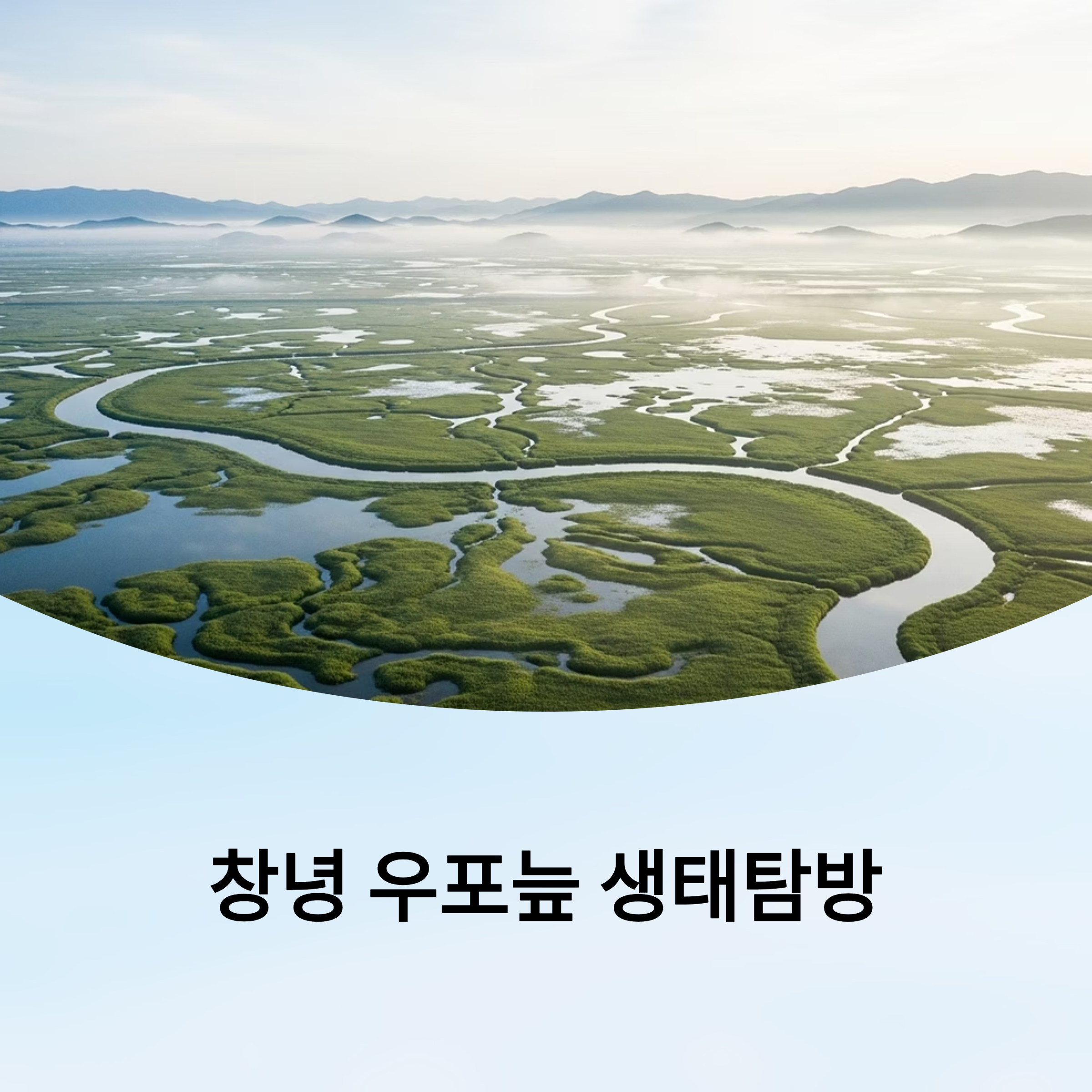 창녕 우포늪 생태탐방