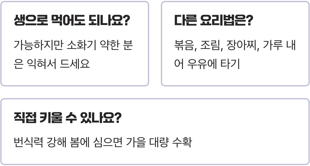 당뇨 혈당 잡는 돼지감자차(뚱딴지)의 놀라운 효능
