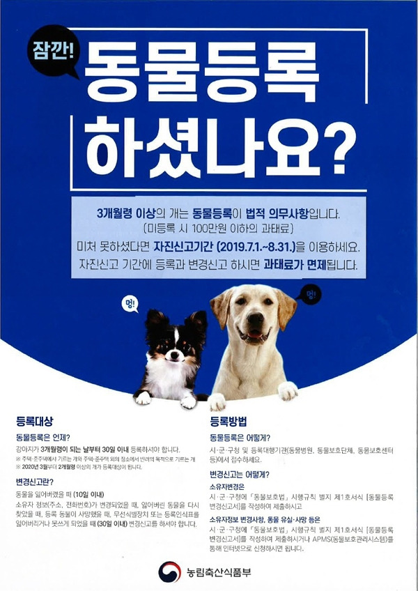 반려동물 등록 장소와 방법