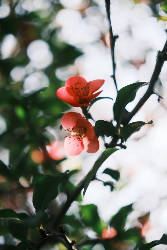 심리학의 기초: 인간 마음의 구조와 작동 원리