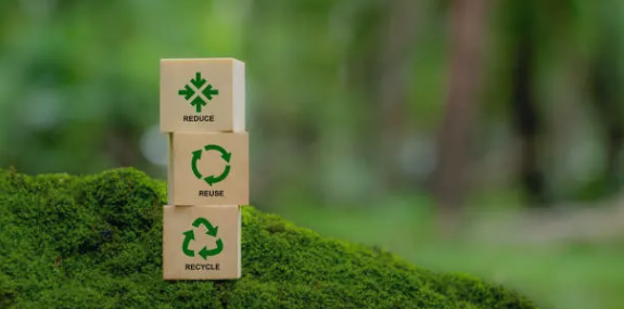 제로웨이스트 입문 가이드: 지속 가능한 삶의 시작