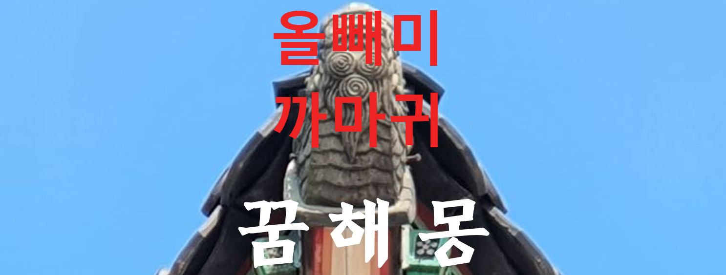 꿈해몽