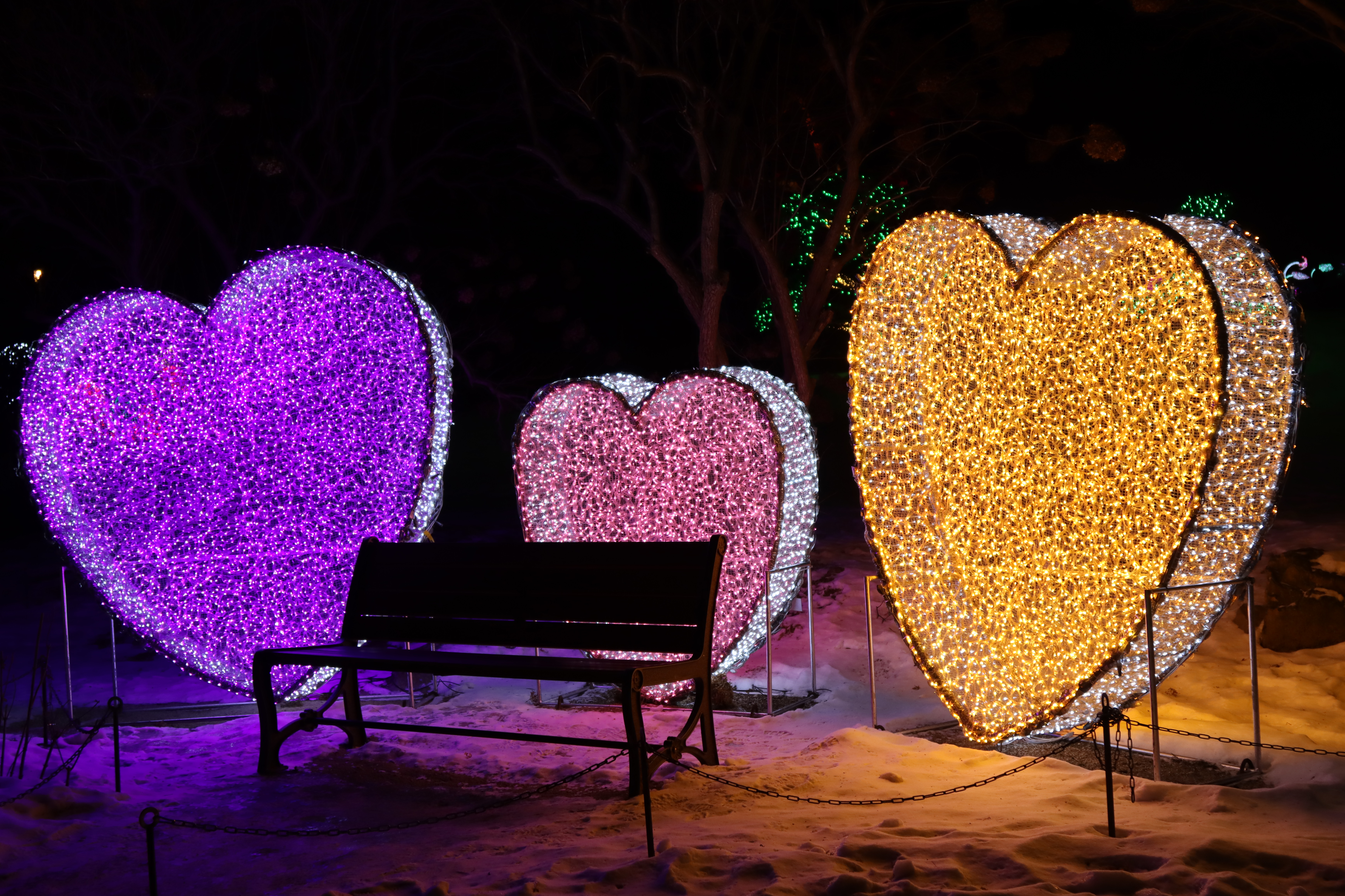 아침고요수목원