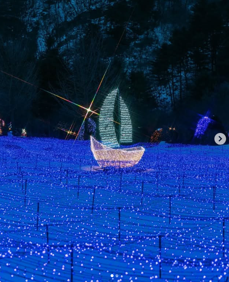 아침고요 수목원 오색별빛정원전