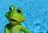 개구리가 우는 꿈해몽