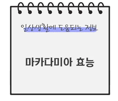 마카다미아-효능