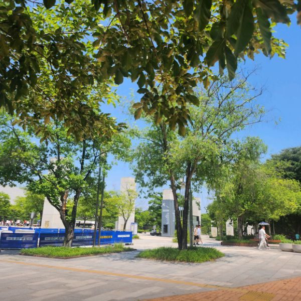 국립중앙박물관