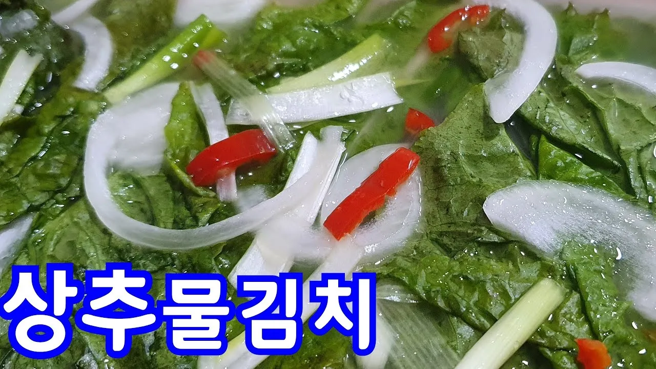 상추 물김치 초간단 담는법 재료 준비법까지_4