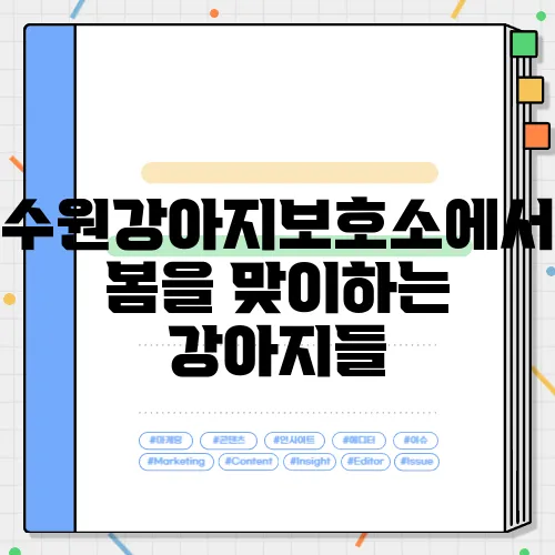 수원강아지보호소에서 봄을 맞이하는 강아지들