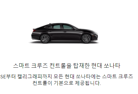 크루즈 컨트롤 차종