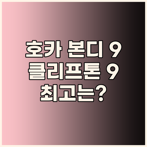 호카 본디 9 vs 클리프톤 9 당신..