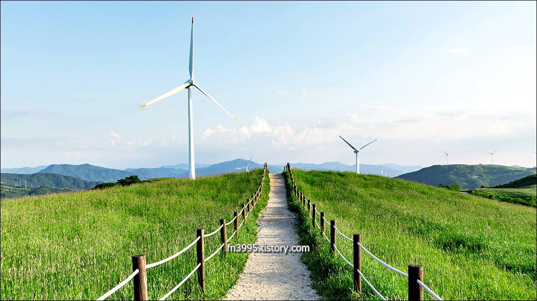 대관령 양떼목장