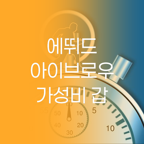 가성비 갑! 에뛰드 아이브로우, 왜