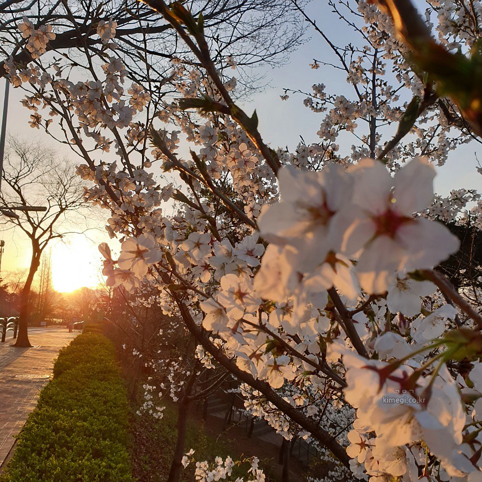 구멍난 페이크삭스
