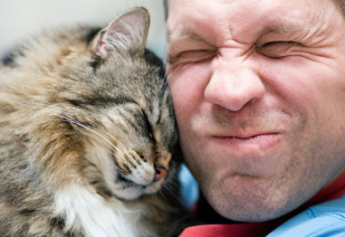 남자에게 소매치기 당하는 고양이.