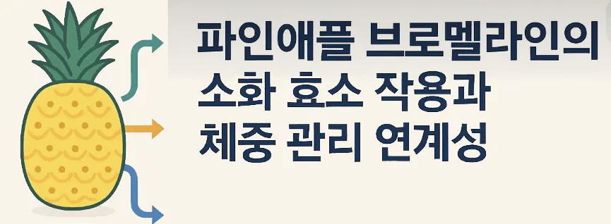 파인애플 브로멜라인