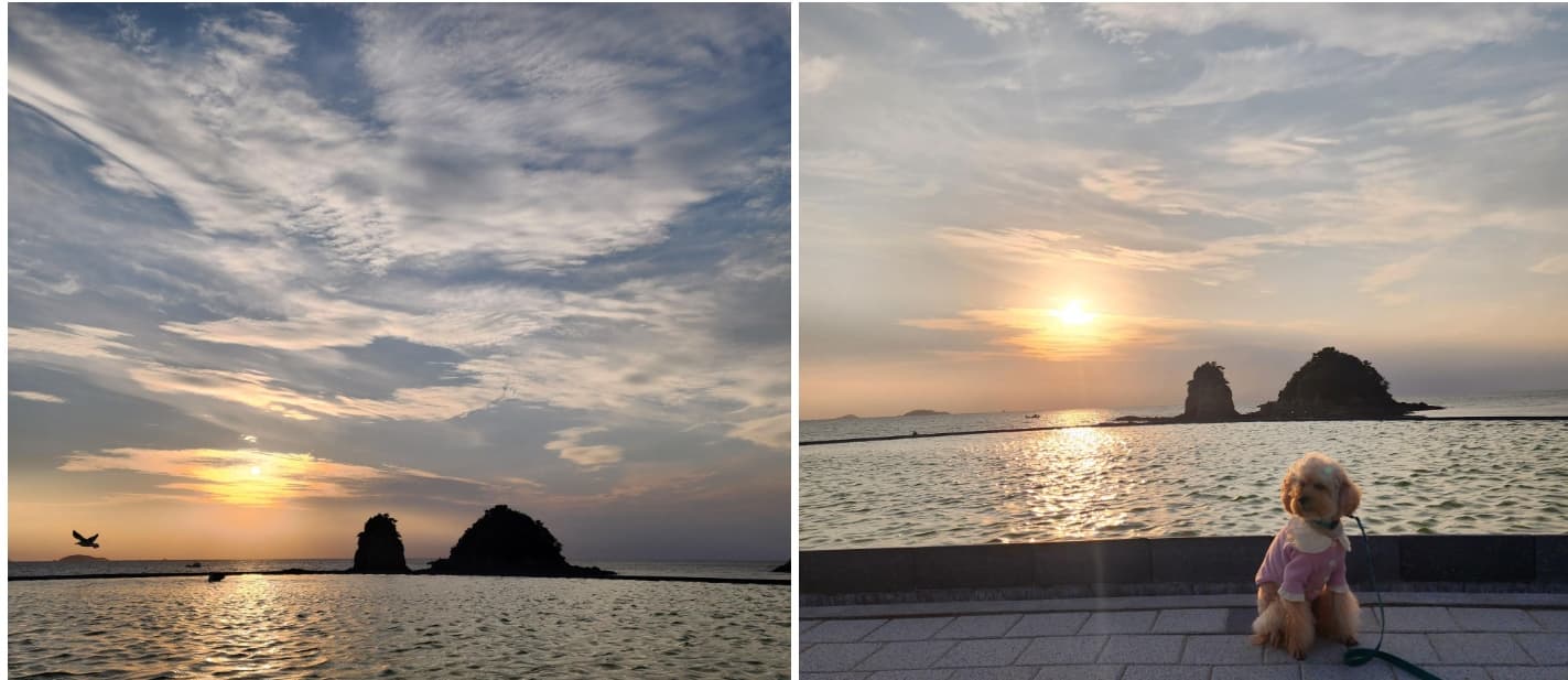 [4월 봄꽃 축제]튤립 축제 즐기기 좋은 서울 근교 여행지 Best 3